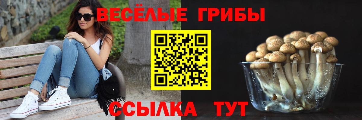 Юрга  Галлюциногенные грибы GOLDEN TEACHER  Вход с VPN 