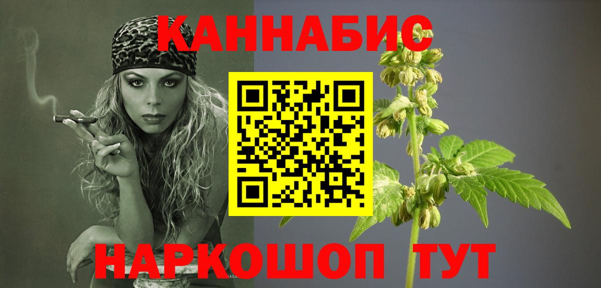 Каннабис сатива Юрга